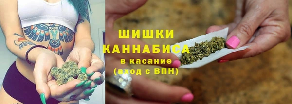индика Семёнов