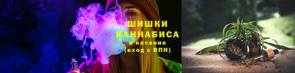 индика Семёнов