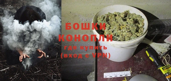 индика Семёнов