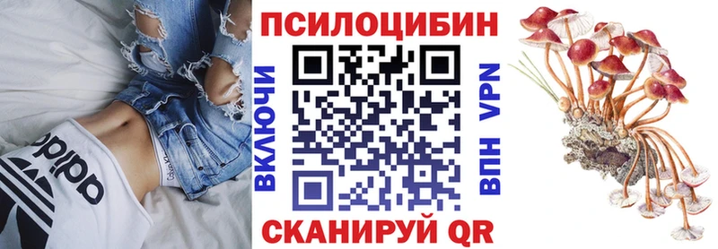 hydra   Алексеевка  Галлюциногенные грибы Psilocybine cubensis 