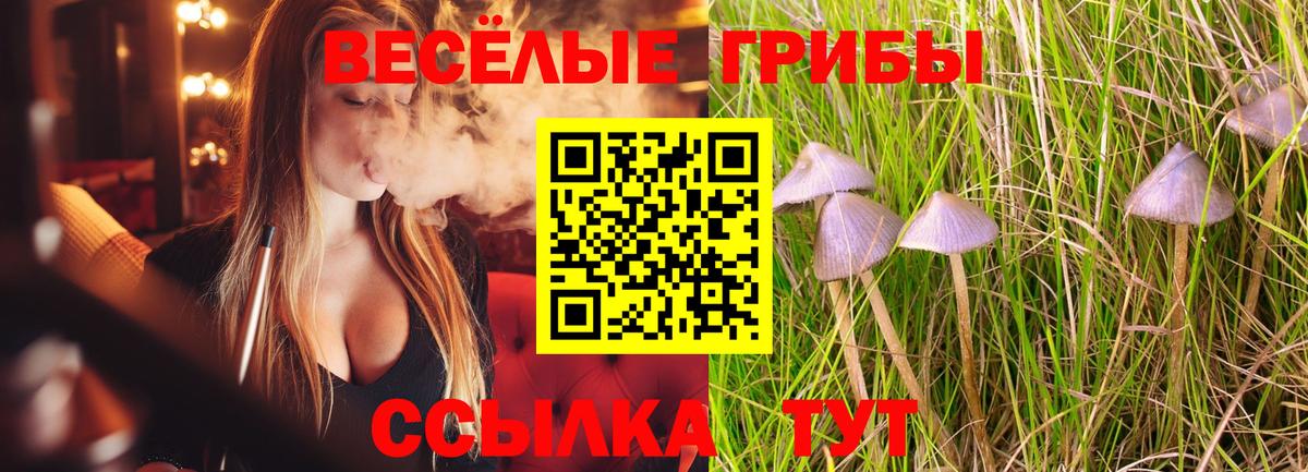 Галлюциногенные грибы прущие грибы  Вход с VPN  купить   Алексеевка 