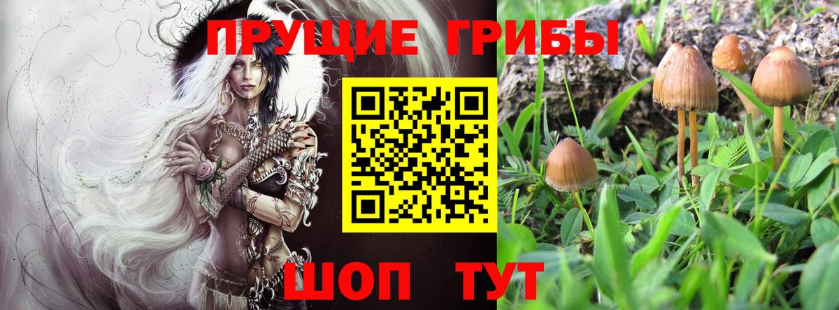 Галлюциногенные грибы мухоморы Алексеевка