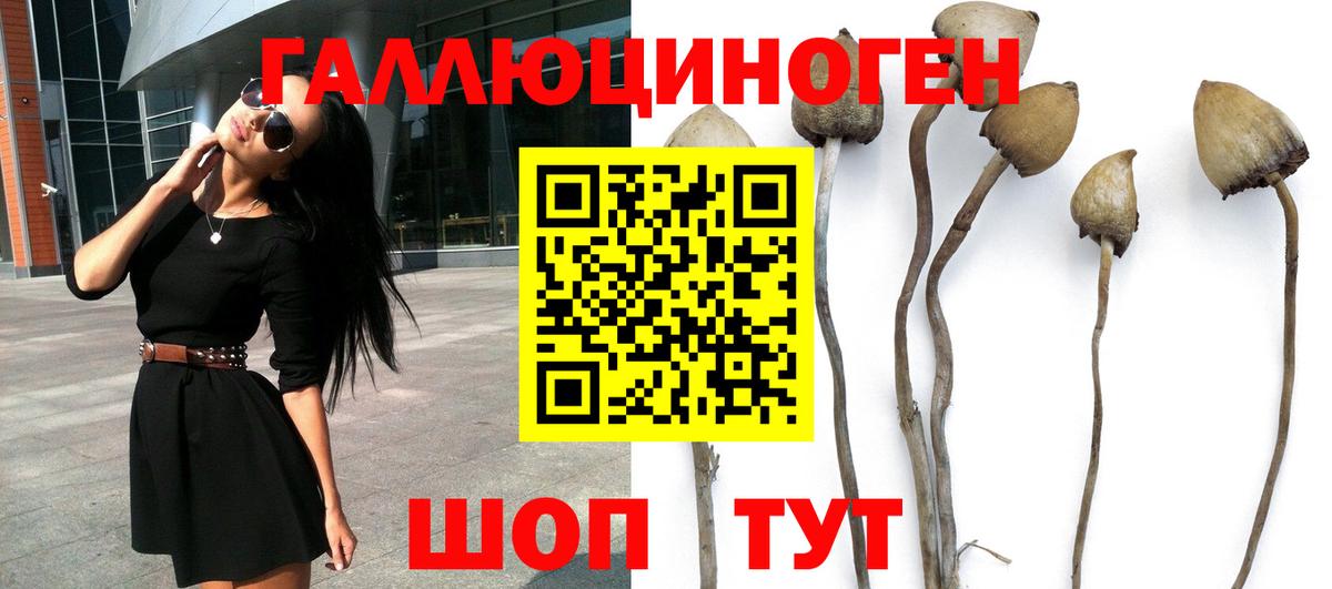 Алексеевка  ГАШИШ  Конопля  Вход с VPN  Мефедрон кристаллы 